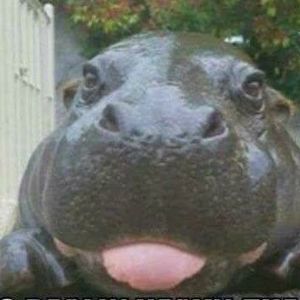 Meet your Posher, Mandy